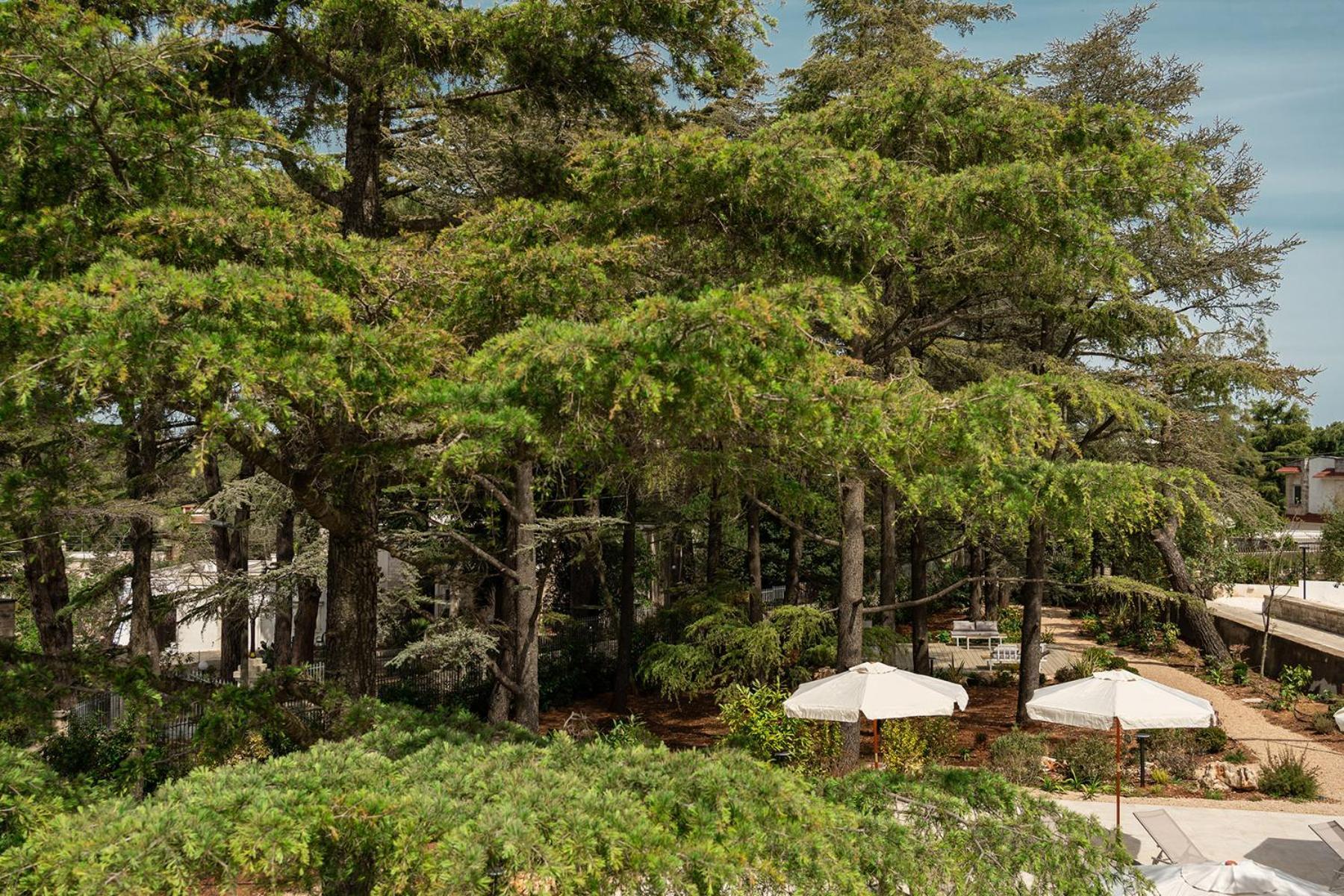 Borgo Lucia Villa Selva Di Fasano Dış mekan fotoğraf