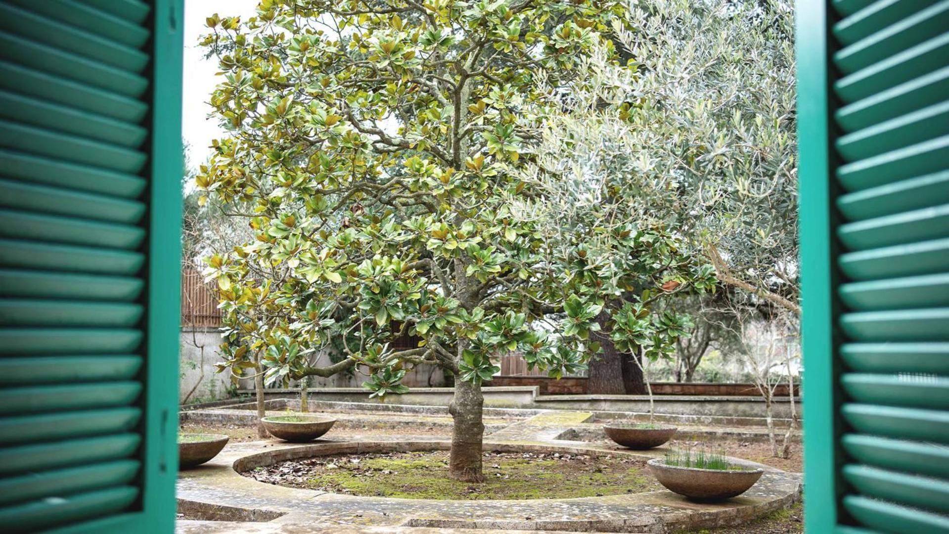 Borgo Lucia Villa Selva Di Fasano Dış mekan fotoğraf